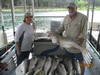 (05/05/2015) - Nice Striped Bass